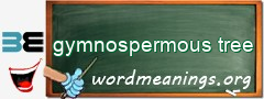 WordMeaning blackboard for gymnospermous tree